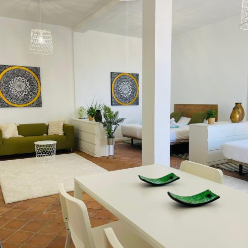 villa_marbella (1)